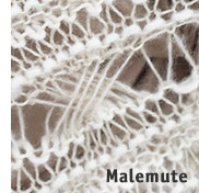 Malemute (Detail)