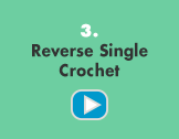 Riverse Single Cropchet - video
