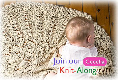 Join our Cecelia Knit-Along